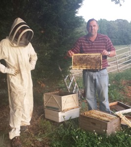 checking the hives