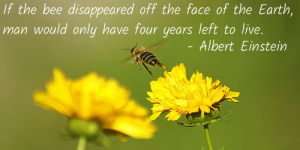 Honey Bee quote Albert Einstein